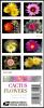 Colnect-5929-653-Cactus-Flowers-booklet-pane-of-20-stamps-back.jpg