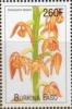 Colnect-1850-362-Bulbophyllum-falcatum.jpg