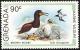 Colnect-1918-055-Brown-Booby-Sula-leucogaster.jpg