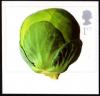 Colnect-2471-195-Brussels-Sprout.jpg