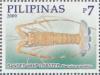 Colnect-2855-491-Banded-Whip-Lobster-nbsp-Puerulus-angulatus.jpg