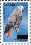 Colnect-3562-933-Grey-Parrot-nbsp--nbsp--nbsp--nbsp-Psittacus-erithacus.jpg
