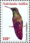 Colnect-3933-735-Green-bellied-Hummingbird-nbsp--nbsp--nbsp--nbsp-Amazilia-viridigaster.jpg