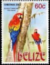 Colnect-4025-640-Scarlet-Macaw-nbsp--nbsp--nbsp--nbsp-Ara-macao.jpg