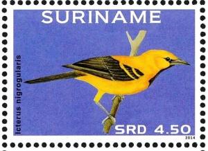 Colnect-3837-186-Yellow-Oriole-nbsp--nbsp--nbsp--nbsp-Icterus-nigrogularis.jpg