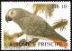 Colnect-3684-072-Grey-Parrot-nbsp--nbsp--nbsp--nbsp-Psittacus-erithacus.jpg