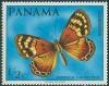 Colnect-1369-592-Metalmark-Butterfly-Apodemia-albinus.jpg