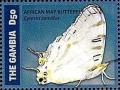 Colnect-3524-962-African-Map-Butterfly-Cyrestis-camillus.jpg