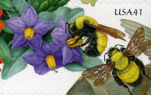 Colnect-887-756-Bumblebee-Bombus-sp-Nightshade-Solanaceae.jpg