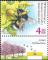 Colnect-6702-154-Large-Earth-Bumble-Bee-Bombus-terrestris.jpg