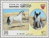 Colnect-1805-143--quot-Al-Jellaby-quot--Equus-ferus-caballus.jpg