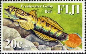 Colnect-746-667-Red-tailed-Goby-Sicyopterus-lagocephalus-.jpg