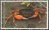 Colnect-2957-395-Mealy-Crab-Thaipotamon-chulabhorn.jpg