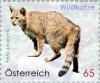 Colnect-1088-137-Wildcat-Felis-silvestris.jpg