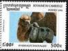 Colnect-1249-687-Wild-Bactrian-Camel-camelus-bactrianus-ferus.jpg