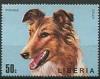 Colnect-1670-868-Collie-Canis-lupus-familiaris.jpg