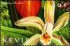 Colnect-4411-478-Cattleya-orchid.jpg