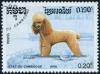 Colnect-4445-041-Poodle-Canis-lupus-familiaris.jpg