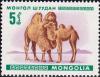 Colnect-882-751-Bactrian-Camel-Camelus-bactrianus.jpg