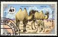 Colnect-1081-006-Bactrian-Camel-Camelus-bactrianus.jpg