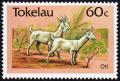 Colnect-1822-968-Goat-Capra-aegagrus-hircus.jpg