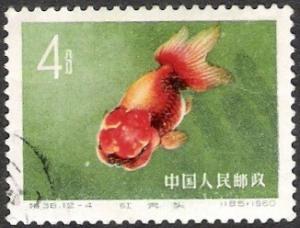 Colnect-1244-706-Goldfish-Carassius-auratus-auratus.jpg