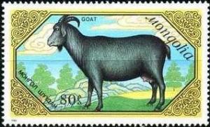 Colnect-1251-717-Goat-Capra-aegagrus-hircus.jpg
