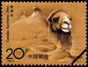 Colnect-1419-839-Bactrian-Camel-Camelus-bactrianus.jpg