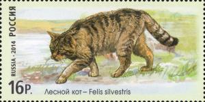 Colnect-2240-154-Wildcat-Felis-silvestris.jpg