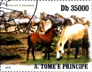 Colnect-3640-278-Cavalos-Camargue.jpg