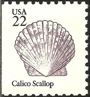 Colnect-5667-569-Calico-Scallop-Argopecten-gibbus.jpg