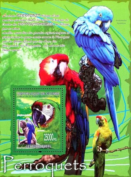 Colnect-3848-198-Chestnut-fronted-Macaw-Ara-severa-John-James-Audubon-.jpg