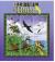 Colnect-3483-379-Caribbean-birds.jpg
