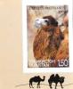 Colnect-1466-272-Bactrian-Camel-Camelus-bactrianus.jpg