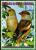 Colnect-1516-775-Hawfinch-Coccothraustes-coccothraustes.jpg