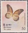 Colnect-2394-261-Tamil-Lacewing-Cethosia-nietneri.jpg