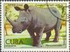 Colnect-691-499-White-Rhinoceros-Ceratotherium-simum.jpg