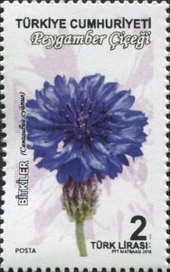 Colnect-5612-487-Centaurea-Cyanus.jpg