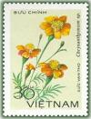 Colnect-1625-795-Chrysanthemum-sp.jpg