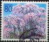 Colnect-2435-954-Cherry-blossoms.jpg