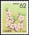Colnect-512-960-Peach-Blossom-Okayama.jpg