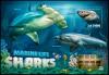 Colnect-5653-798-Carcharodon-carcharias.jpg