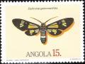 Colnect-1107-819-Euchromia-guineensis.jpg