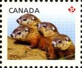 Colnect-2416-434-Woodchuck-Marmota-monax.jpg