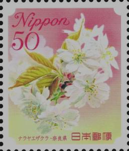 Colnect-4056-998-Yaezakura-Double-Cherry-Blossom---Nara-Prefecture.jpg