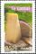 Colnect-574-530-Cheese---Cantal.jpg