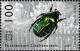 Colnect-1131-033-Rose-Chafer-Cetonia-aurata.jpg