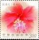 Colnect-5153-510-Chinese-hibiscus.jpg