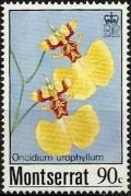 Colnect-2204-192-Oncidium-urophyllum.jpg