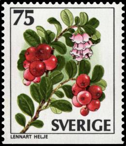 Colnect-4337-588-Vaccinium-vitis-idaea.jpg
